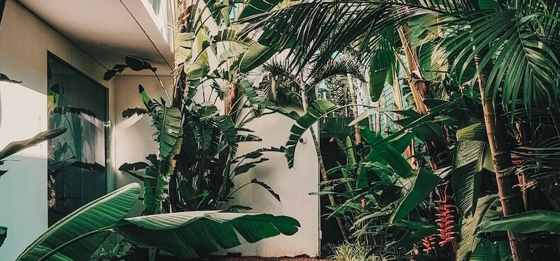 First Person Perspective video recording device showing immersive storytelling experience